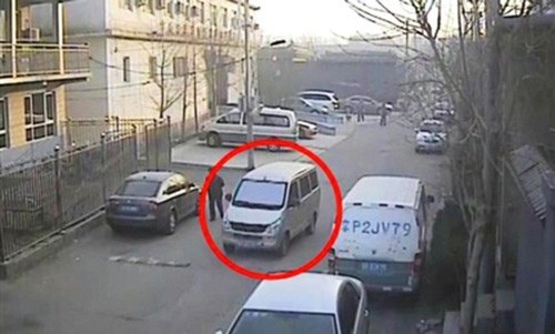 Trả lại chó cho người mù, kẻ trộm xin tha lỗi - ảnh 1