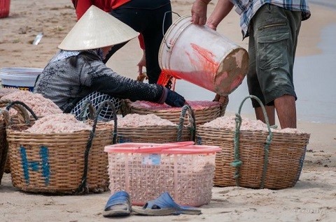 Dùng 'chất cực độc' Rhodamine B nhuộm đỏ con ruốc? - ảnh 1