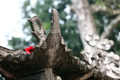 Trẩy hội chùa Hương mùa hoa gạo - ảnh 14