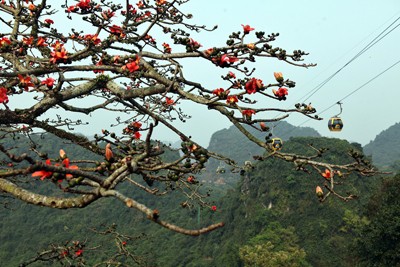 Trẩy hội chùa Hương mùa hoa gạo - ảnh 16