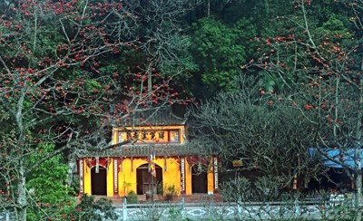 Trẩy hội chùa Hương mùa hoa gạo - ảnh 3