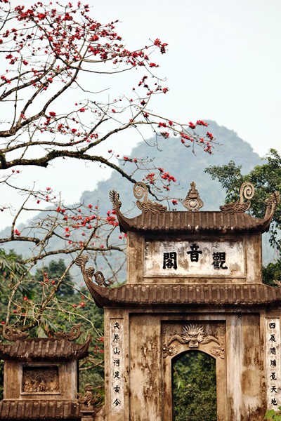 Trẩy hội chùa Hương mùa hoa gạo - ảnh 4