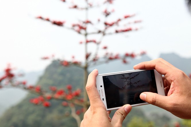 Trẩy hội chùa Hương mùa hoa gạo - ảnh 5