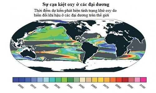 biến đổi khí hậu tác động lên đại dương - ảnh 1