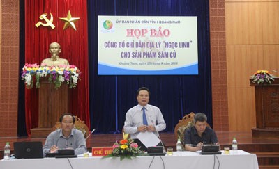 Công bố chỉ dẫn địa lý sâm Ngọc Linh - ảnh 1
