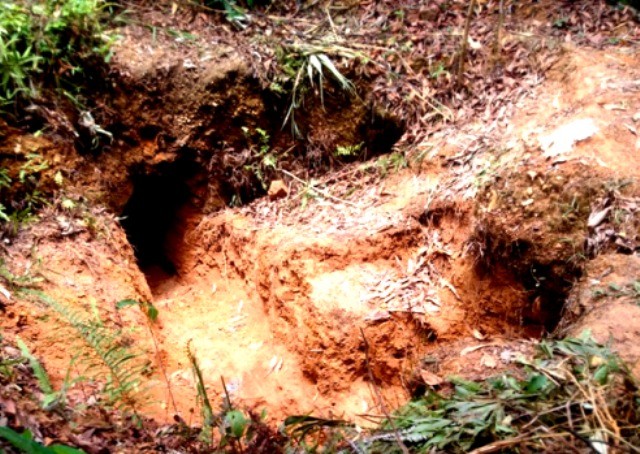 Mỏ vàng 'thổ phỉ' giữa các 'ốc đảo' trong lòng hồ Tả Trạch - ảnh 2