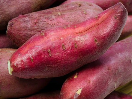 Những thực phẩm tự nhiên giúp ngăn ngừa dị ứng trong suốt mùa đông - ảnh 1