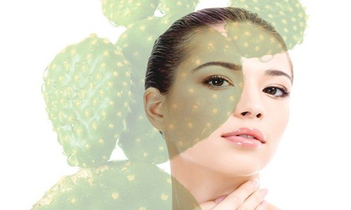 'Bỏ túi' mẹo làm đẹp hay ho từ cây xương rồng - ảnh 1