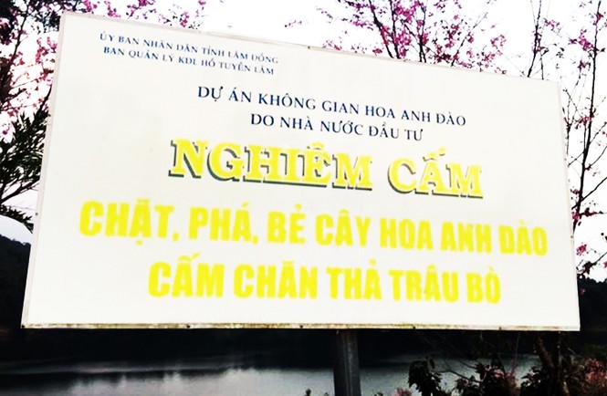 Từng bắt nhiều vụ bẻ mai anh đào, giao công an xử lý - ảnh 1