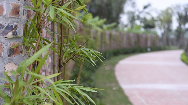 Khu nghỉ dưỡng có biển nhân tạo giữa Hà Nội của 'chúa đảo' Tuần Châu - ảnh 19