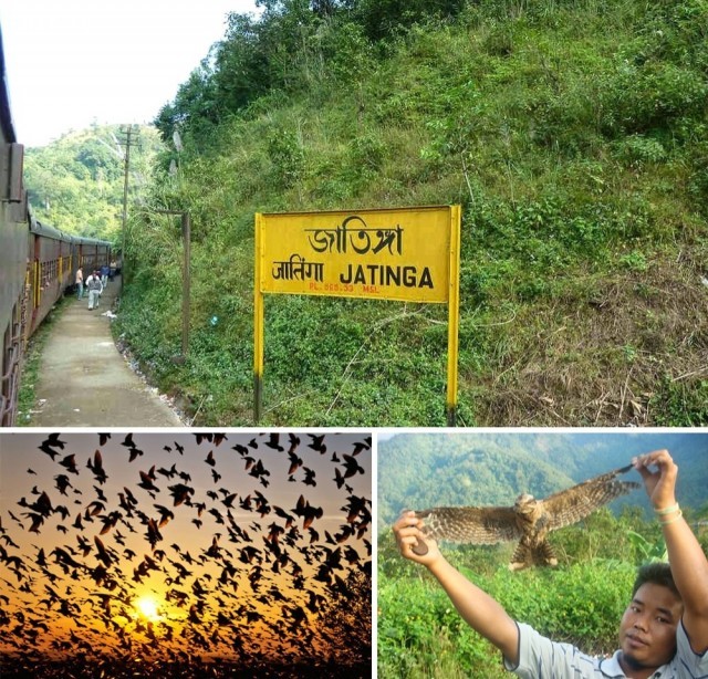15 chuyện lạ có thật chứng minh trái đất vô cùng bí ẩn - ảnh 10