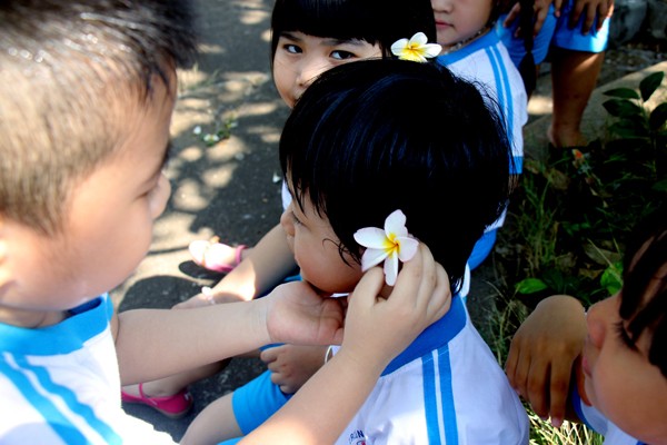 Rừng hoa sứ nơi vua Thành Thái bị giam lỏng nở hoa tuyệt đẹp - ảnh 9