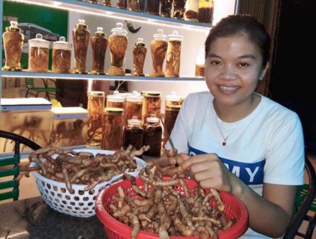 Những công chức trẻ bỏ biên chế về nhà buôn gà, bán rau - ảnh 1