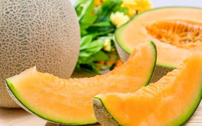 Dưa lưới Nhật bán ở Việt Nam giá hơn 1 triệu đồng mỗi quả - ảnh 2