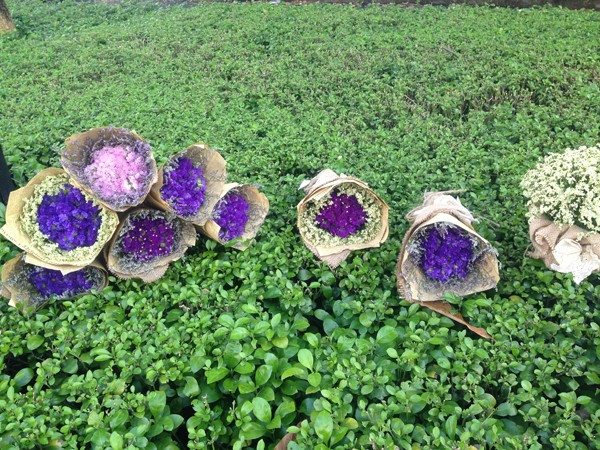 500.000 đồng một bông hoa 'biết nói' ở Sài Gòn - ảnh 8