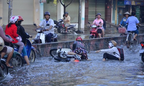 TPHCM, Mưa lớn, khí hậu, dự án - ảnh 2