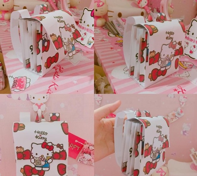 Cô gái cuồng Hello Kitty - ảnh 1