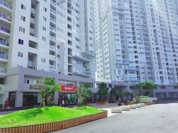 'Giải mã cơn sốt' thị trường bất động sản Vũng Tàu - ảnh 1
