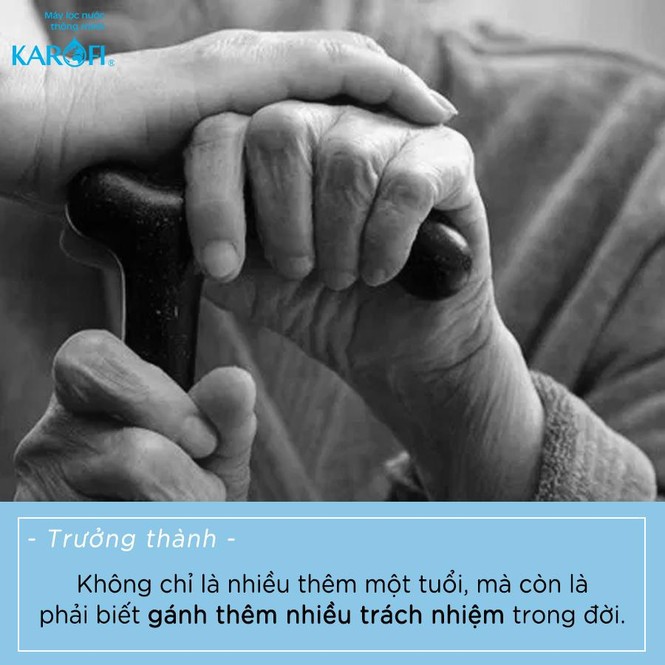 Xem bộ ảnh 'cười xong chảy nước mắt' về người trưởng thành - ảnh 7