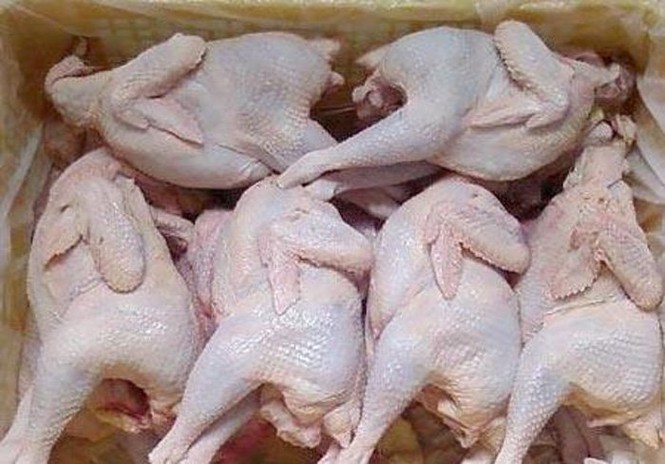 Hàng thải gà dai, gà 'trọc đầu' về Việt Nam lại đắt hàng - ảnh 1