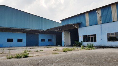 Ông chủ Vinaxuki với nỗi buồn 'buôn tài không bằng dài vốn' - ảnh 2