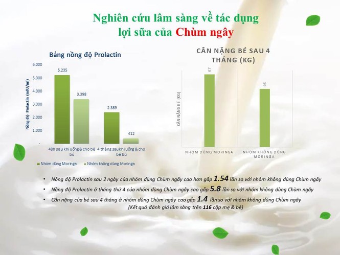 Chùm ngây – Giải pháp thông minh cho các mẹ thiếu sữa, mất sữa - ảnh 2