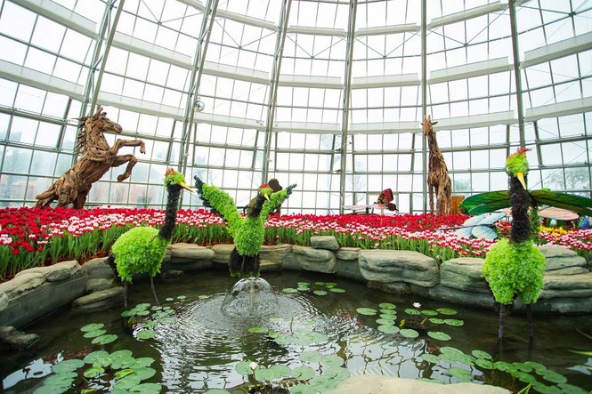 Thưởng lãm mùa xuân châu Âu tại Vinpearl Land Nha Trang - ảnh 4