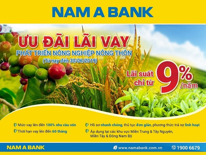Tín dụng ngân hàng chảy vào nông nghiệp - ảnh 1