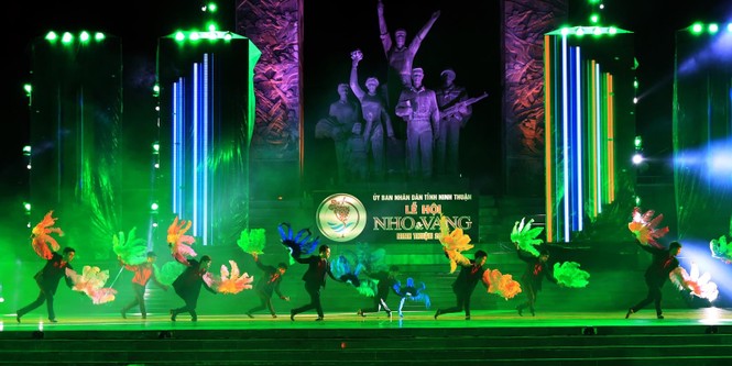 Lễ hội Nho và Vang 2019: Một Ninh Thuận sôi động và hấp dẫn - ảnh 1