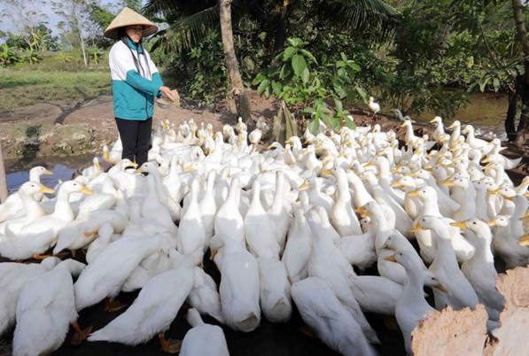 Về kết quả thực hiện tín dụng chính sách xã hội quý I/2019 - ảnh 1