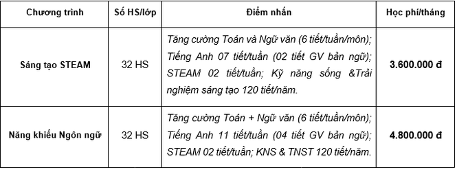Trường phổ thông liên cấp đa trí tuệ Mis tuyển sinh 3 cấp năm học 2019 – 2020 - ảnh 3