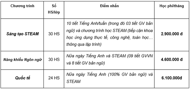 Trường phổ thông liên cấp đa trí tuệ Mis tuyển sinh 3 cấp năm học 2019 – 2020 - ảnh 4