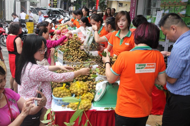 Đại hội đồng cổ đông (ĐHĐCĐ) của Tổng công ty Thương mại Hà Nội – CTCP - ảnh 2
