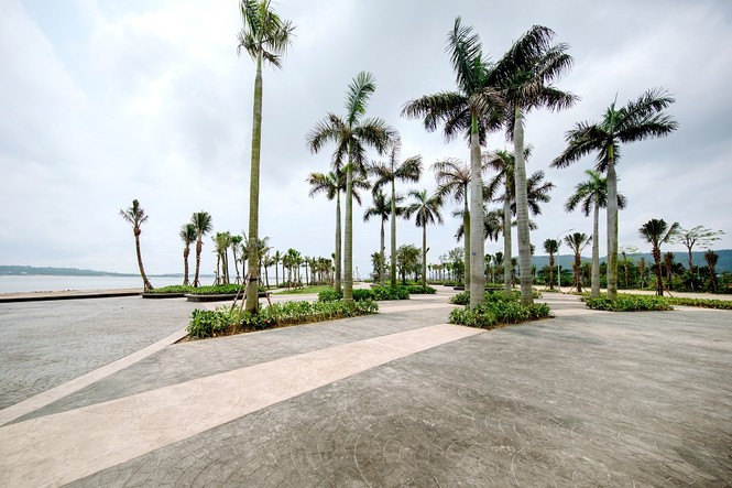 Halong Marina: Từ vùng đất trống ven biển thành đại đô thị du lịch sầm uất - ảnh 2