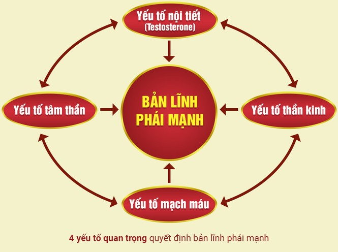 KDnew- đột phá toàn diện cho bản lĩnh phái mạnh - ảnh 1