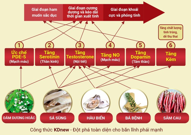 KDnew- đột phá toàn diện cho bản lĩnh phái mạnh - ảnh 2