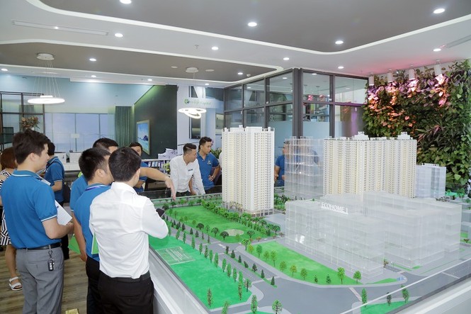 Lộ diện đại lý chính thức phân phối dự án 'hot' EcoHome 3 - ảnh 2