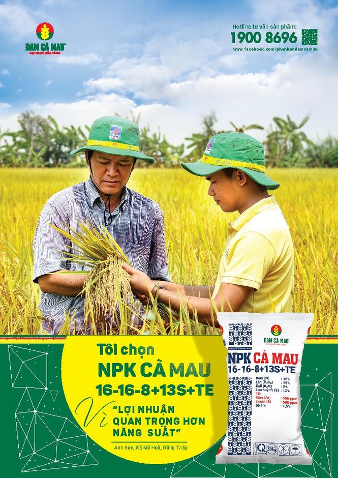 NPK Cà Mau gia nhập thị trường phân bón chất lượng cao - ảnh 1