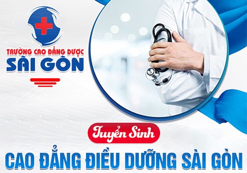 Học Cao đẳng Điều Dưỡng có thể sang CHLB Đức làm việc - ảnh 1