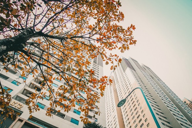 Hải Phát Invest: Tối ưu không gian xanh trong từng dự án. - ảnh 2