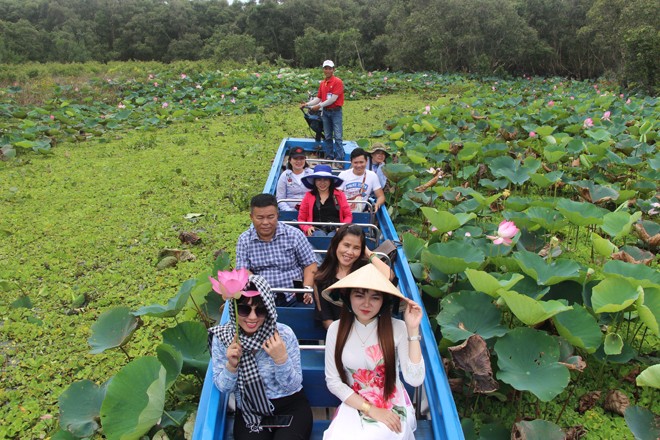 Thu Trà Sư - ảnh 1