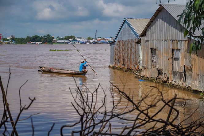 Thúc đẩy khát vọng làm giàu trên cù lao giữa sông Hậu - ảnh 5