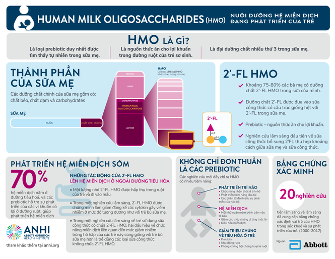 HMO giúp nuôi dưỡng hệ đường ruột và sức đề kháng của bé như thế nào? - ảnh 1