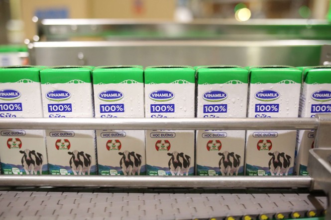 TP.HCM chính thức khởi động Chương trình Sữa học đường từ tháng 11/2019 - ảnh 2