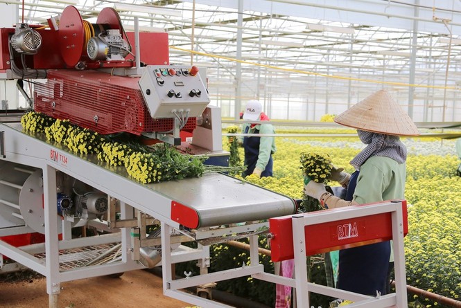 Dalat Hasfarm đi bộ gây quỹ vì người nghèo - ảnh 2