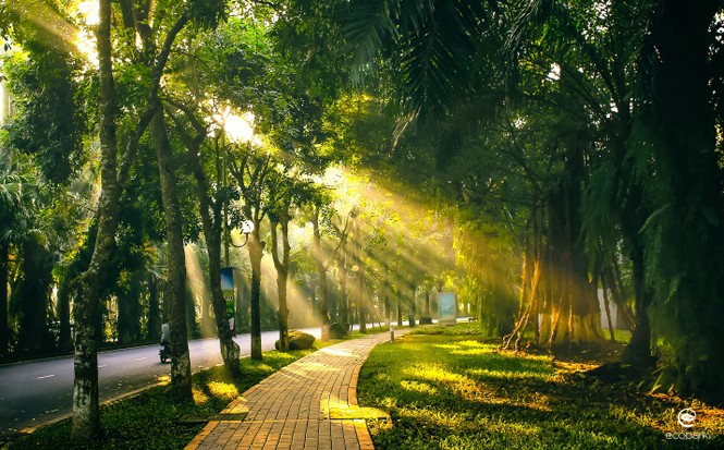 Khan hiếm nguồn cung: Biệt thự, liền kề vẫn sẽ là điểm sáng đầu tư 2020 - ảnh 2