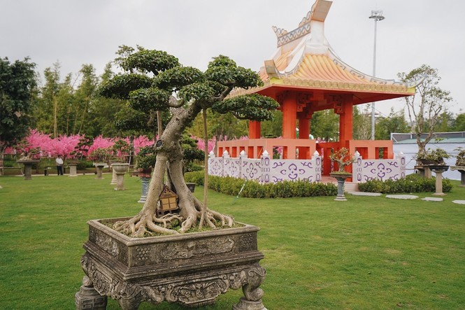 Lạc lối giữa xứ Phù tang tại lễ hội hoa xuân Vinhomes Smart City - ảnh 1