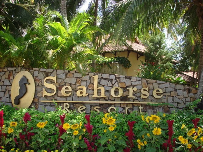 Tết 2020 – Tết Sum Vầy cùng Seahorse Resort & Spa - ảnh 2
