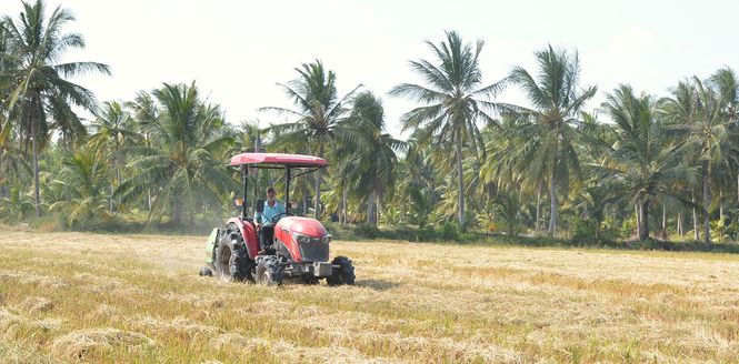Nông dân miền Tây đánh giá cao dòng máy kéo Yanmar YM3: máy khỏe, chạy nhanh, th - ảnh 1