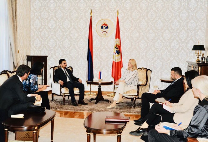 Bloomberg đưa tin Tổng thống Srpska thảo luận với tỷ phú Mai Vũ Minh về hợp tác - ảnh 6